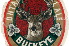 Buckeye