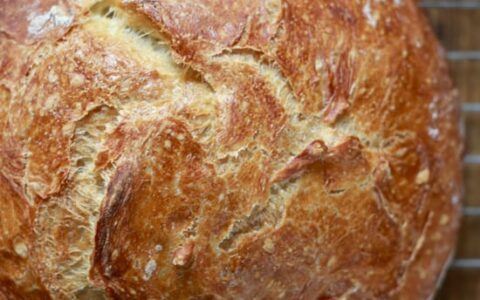 The Basic No-Knead Bread Recipe