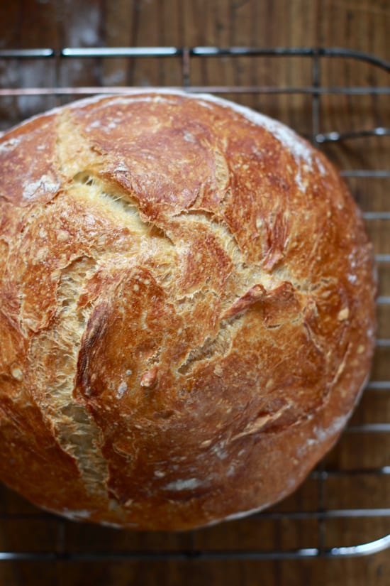 The Basic No-Knead Bread Recipe